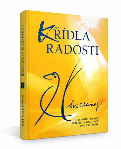 Křídla radosti