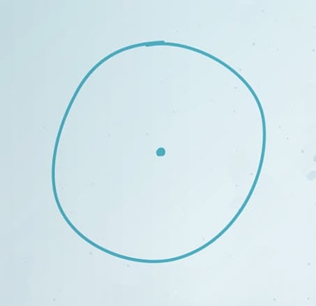 450554-bod