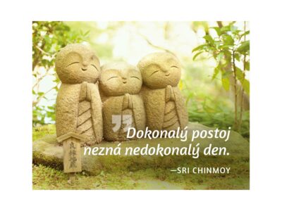 Dokonalý postoj nezná nedokonalý den - Sri Chinmoy