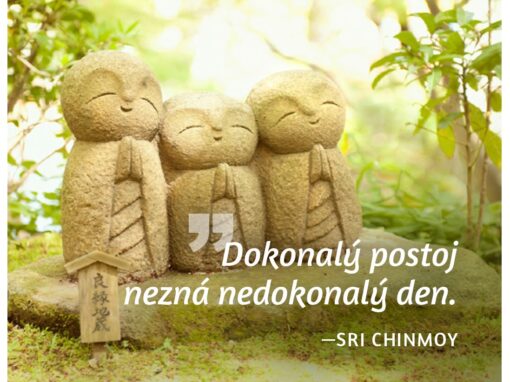 Dokonalý postoj nezná nedokonalý den - Sri Chinmoy