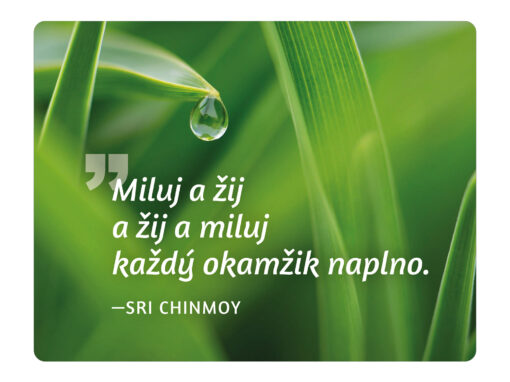 Miluj a žij a žij a miluj každý okamžik naplno - Sri Chinmoy
