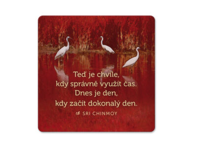 Korkový podtácek s citátem - Ted je chvíle, kdy správně využít čas. Dnes je den, kdy začít dokonalý den.