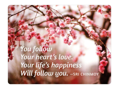 You follow your heart’s love. Your life’s happiness will follow you - (Sri Chinmoy)