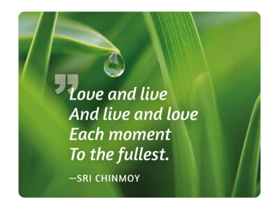 Love and live and live and love each moment to the fullest - Sri Chinmoy