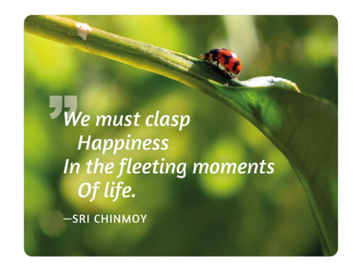 We must clasp happiness in the fleeting moments of life - Sri Chinmoy