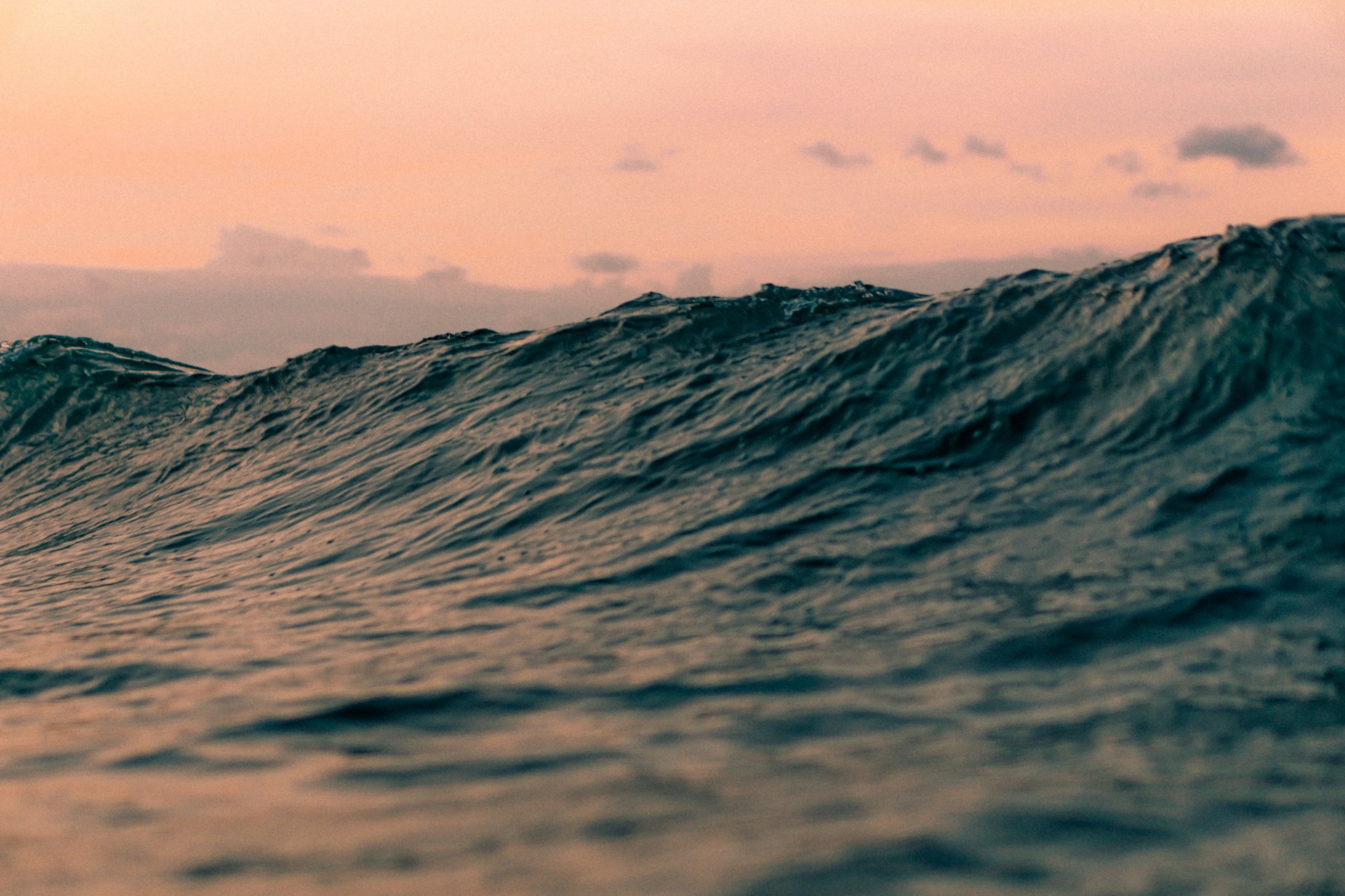 douglas-rivera-UXsg7-8RlU-unsplash